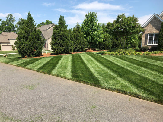 Bethlehem GA Lawn maintenance