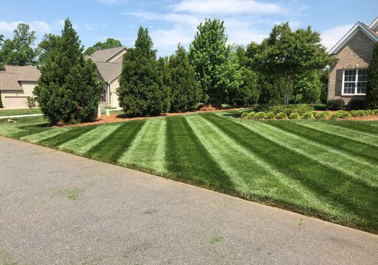 Bethlehem GA Lawn maintenance