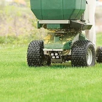 Lawn fertilization Monroe GA